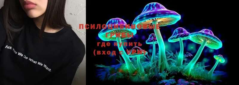 Галлюциногенные грибы MAGIC MUSHROOMS  Балашов 